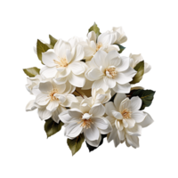 blanc fleur png ai génératif