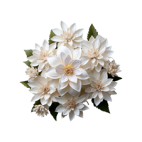 White Flower Png AI Generative