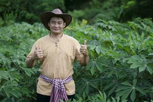 hermoso asiático tailandés hombre jardinero es a mandioca jardín, pulgares arriba, usa sombrero y cinturón taparrabo en cintura. concepto ,feliz agricultor. satisfecho en agricultura productos agrícola ocupación. foto