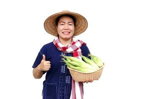 Asian woman farmer hold basket of fresh organic corn. Thai local breed. Favorite for Thai northern farmers grow for boil, steam or cook for Thai traditional dessert. Concept, agricultural crop product photo