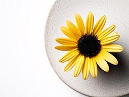 Serenity in Simplicity - A Minimalist Yellow Daisy - AI generated photo