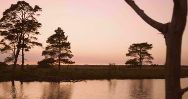 pôr do sol sobre uma lago com árvores e água video