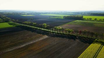 Aerial view of a field with trees and fields video