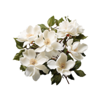 blanc fleur png ai génératif