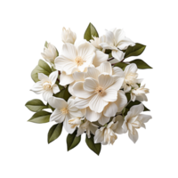 blanc fleur png ai génératif