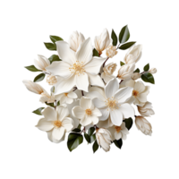 blanc fleur png ai génératif