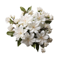 blanc fleur png ai génératif