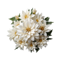 blanc fleur png ai génératif