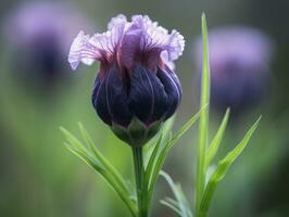 soñador y etéreo - un maravilloso macro Disparo de un púrpura iris - ai generado foto