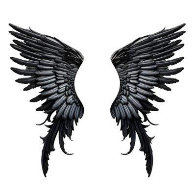 Black Wings PNG Cutout - PNG All