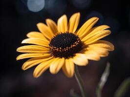 capturar el belleza de un amarillo margarita con un superficial profundidad de campo - ai generado foto