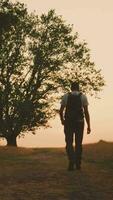 hombre caminando abajo un camino con un árbol en el antecedentes video