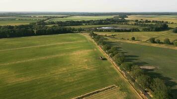 Antenne Aussicht von ein Feld mit ein Traktor und ein Traktor video