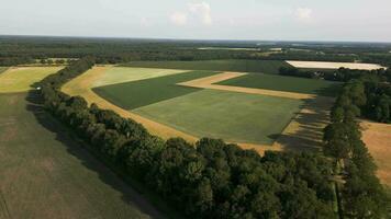 Aerial view of a field with trees and a green field video