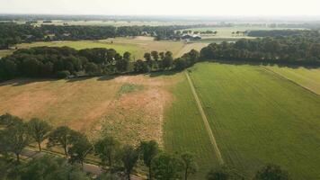 Aerial view of a field with trees and grass video