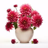 AI generative Dahlias in a ceramic pot isolated on white background photo