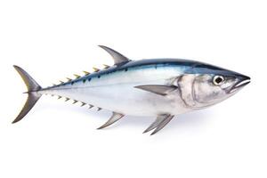 fresh bonito fish isolated on white background AI Generative photo