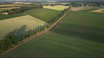 Aerial view of a field with green grass video