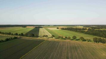 Aerial view of a farm field with trees and fields video