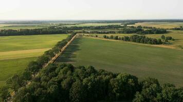 Aerial view of a field and a road in the countryside video