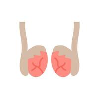 Testicles icon in vector. Illustration vector