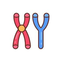 Masculine Chromosomes icon in vector. Illustration vector