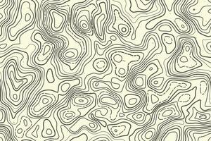 Seamless pattern topographic map background. Vector illustration.