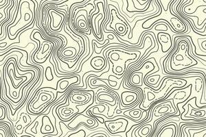 Seamless pattern topographic map background. Vector illustration.