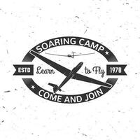 Vector Soaring camp retro badge.