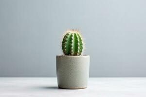 cactus in pot isolated on white background AI Generated photo