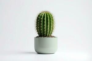 cactus in pot isolated on white background AI Generated photo