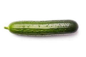 a cucumber isolated on a white background photo