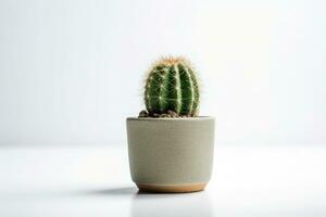 cactus en maceta aislado en blanco antecedentes ai generado foto