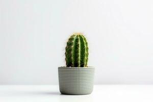 cactus in pot isolated on white background AI Generated photo