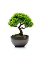 a bonsai tree in a pot on a white background AI Generated photo