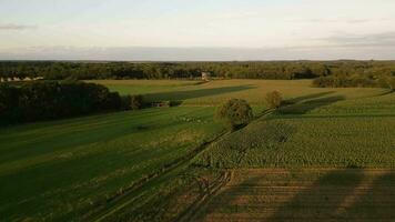 a aéreo Visão do uma Fazenda campo com uma moinho de vento video