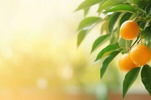 orange tree in the corner in over blurred background with copy space for text AI Generated photo