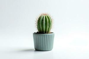 cactus en maceta aislado en blanco antecedentes ai generado foto