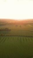aerial view of a field at sunset video