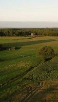 an aerial view of a farm field with a windmill video