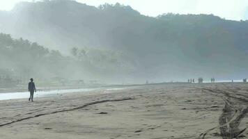 a man walking on the sand by a hilly beach in the morning video