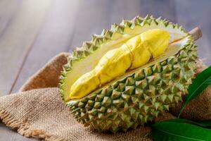 chani kai Durian o Durio zibthinus murray en saco foto
