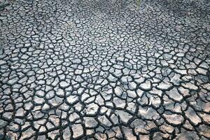 Cracks on the surface of the earth are altered by the shrinkage of mud due to drought photo