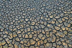 Cracks on the surface of the earth are altered by the shrinkage of mud due to drought photo