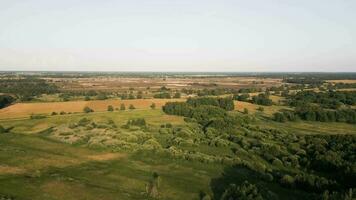 Antenne Aussicht von das Landschaft mit Bäume und Felder video