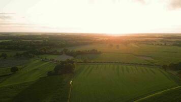 aérien vue de une champ à le coucher du soleil video