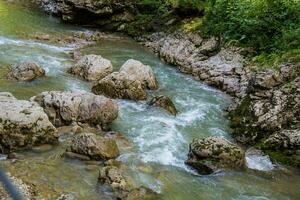 Mountain river flowing through the green forest and many stones photo