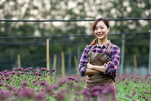 Asian gardener holding garden secateurs while working in purple chrysanthemum farm for cut flower business with copy space photo