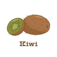 Ripe whole kiwi fruit and half kiwi fruit isolated on white background. Flat color vector icon