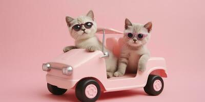 Cats wearing sunglasses in small car model on pink background. Created with Generative AI technology photo